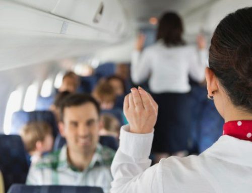 Flight attendant job